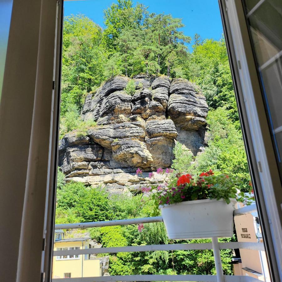 Apartment Villa Hrensko 132 エクステリア 写真