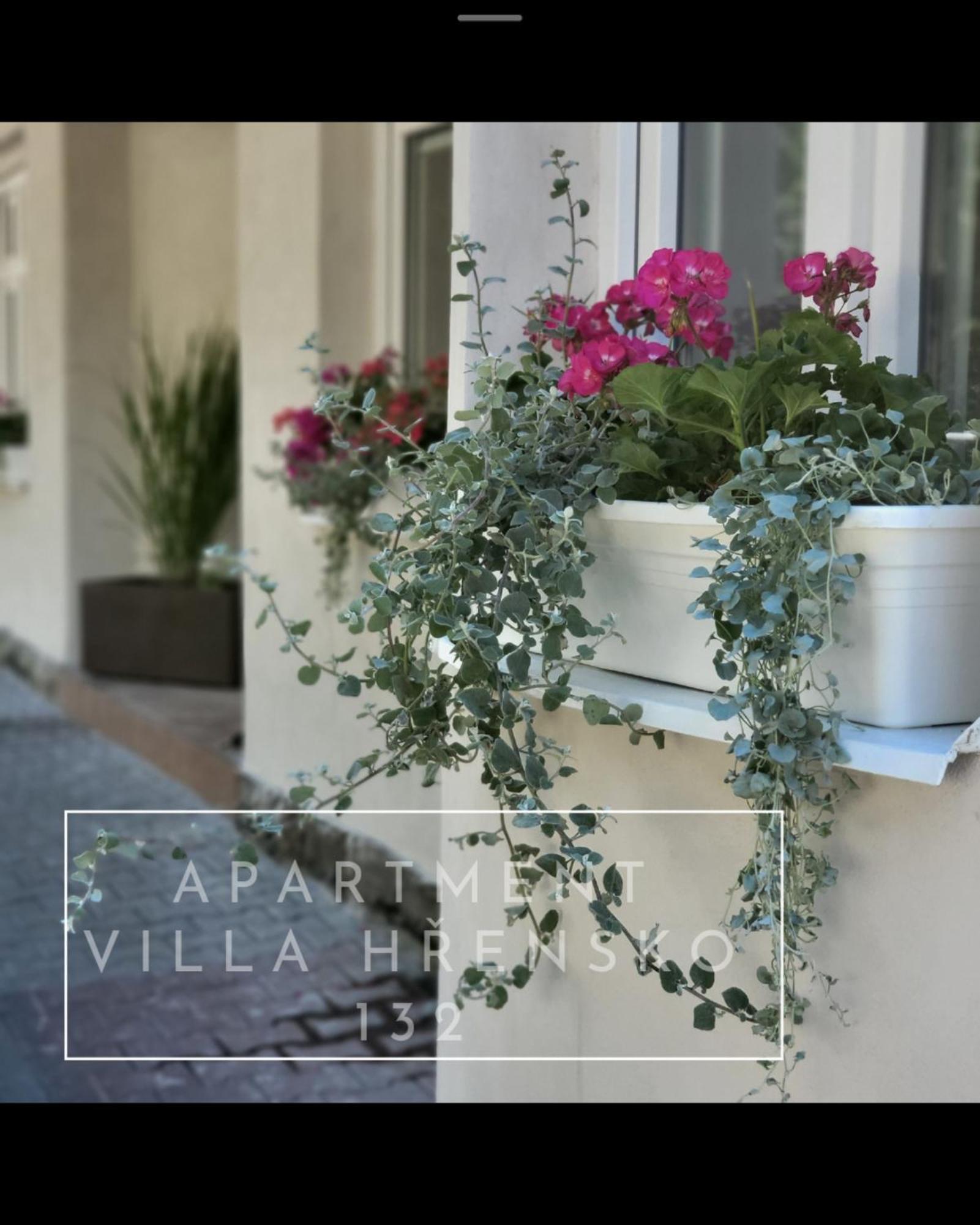 Apartment Villa Hrensko 132 エクステリア 写真